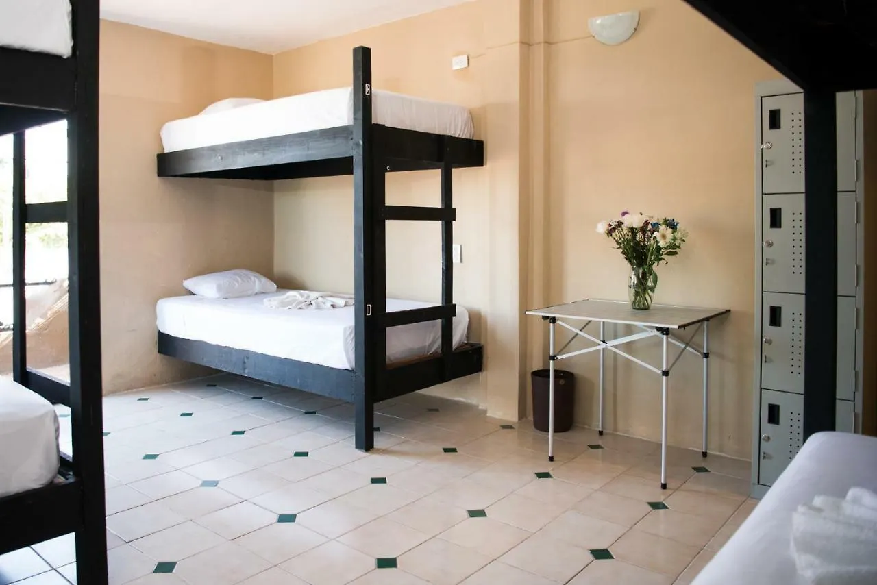 Hostal La Playita Pdc Playa del Carmen Guest house